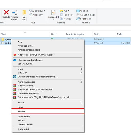 mTiny uuenduse juhend - püsivara paigaldamine
