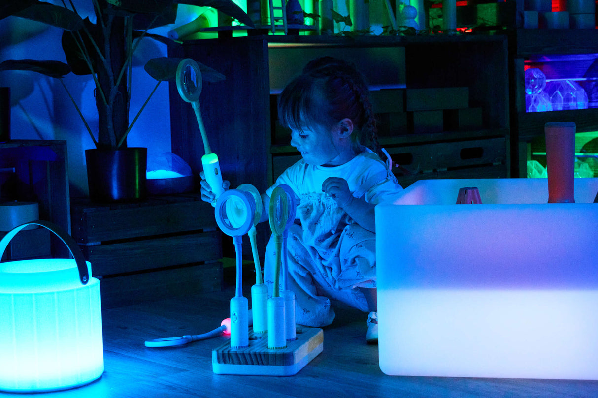 TTS Easi-Detectors metallidetektorid suurendusklaasiga, 6 tk EL47411B