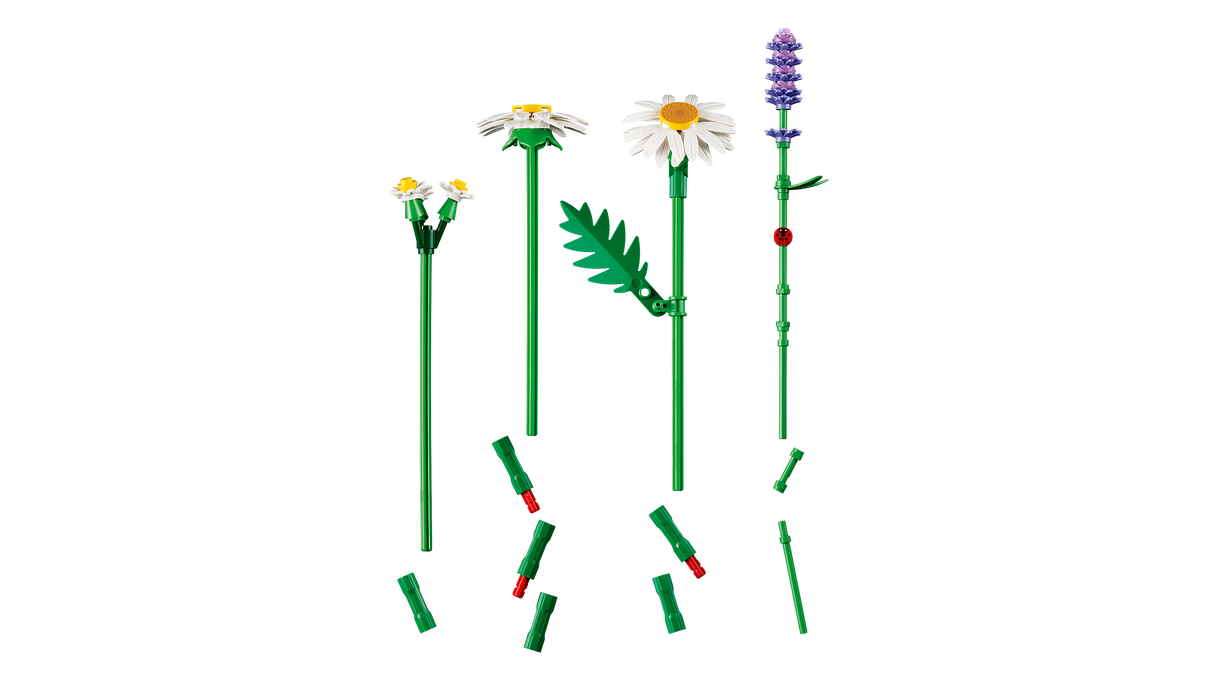 LEGO Botanicals Karikakrad 11508L