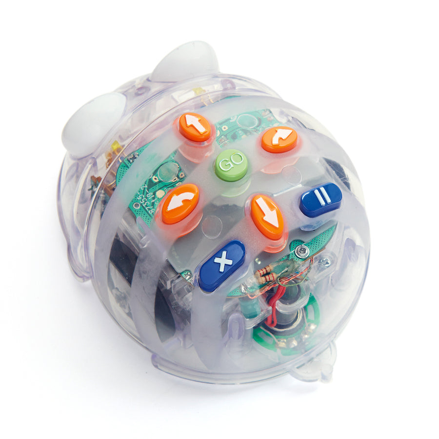 TTS Bee-Bot ja Blue-Bot roboti klassikomplekt IT01243B