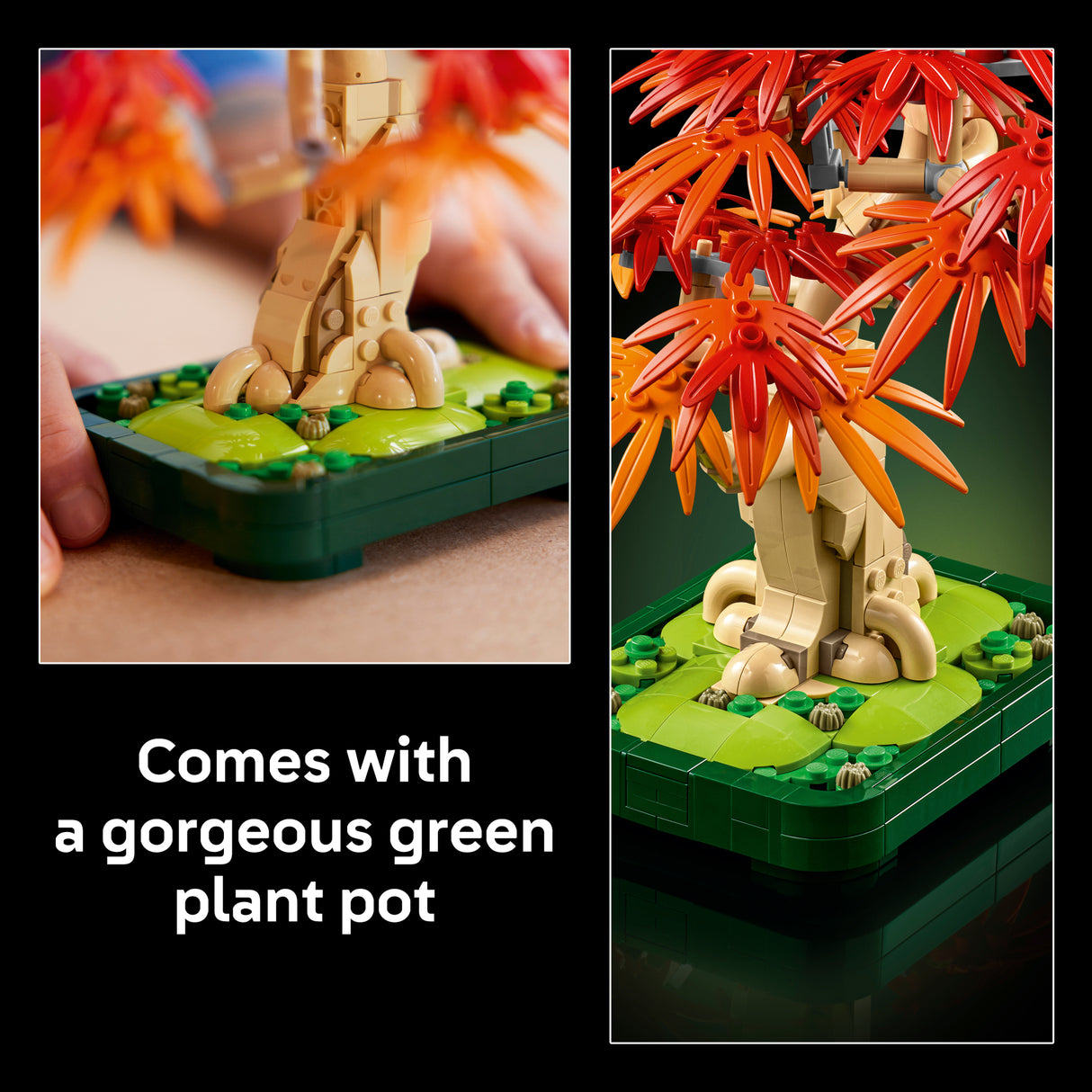 LEGO Botanicals Jaapani punase vahtra bonsaipuu
 10348L
