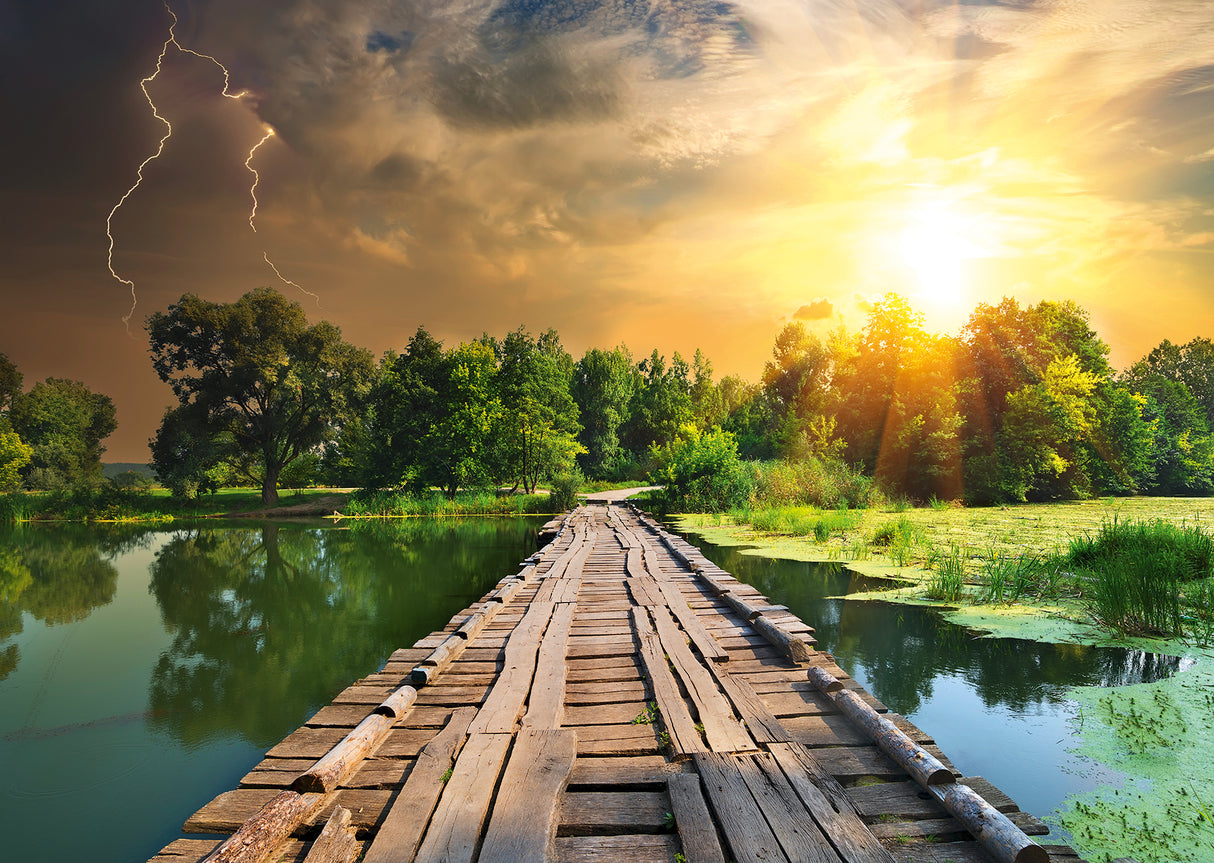 Ravensburger pusle 1000 tk: müstiline taevas 12000305V