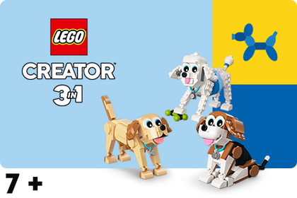 LEGO Creator 7+ seeria ikoon