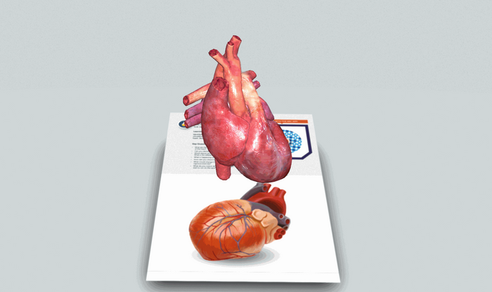 ClassVR virtuaalse koolitunni visualiseerimine - bioloogia, süda