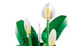 LEGO Botanicals Tõlvlehik 11504L