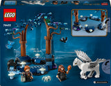 LEGO Harry Potter Keelatud mets: müütilised olendid 76432L