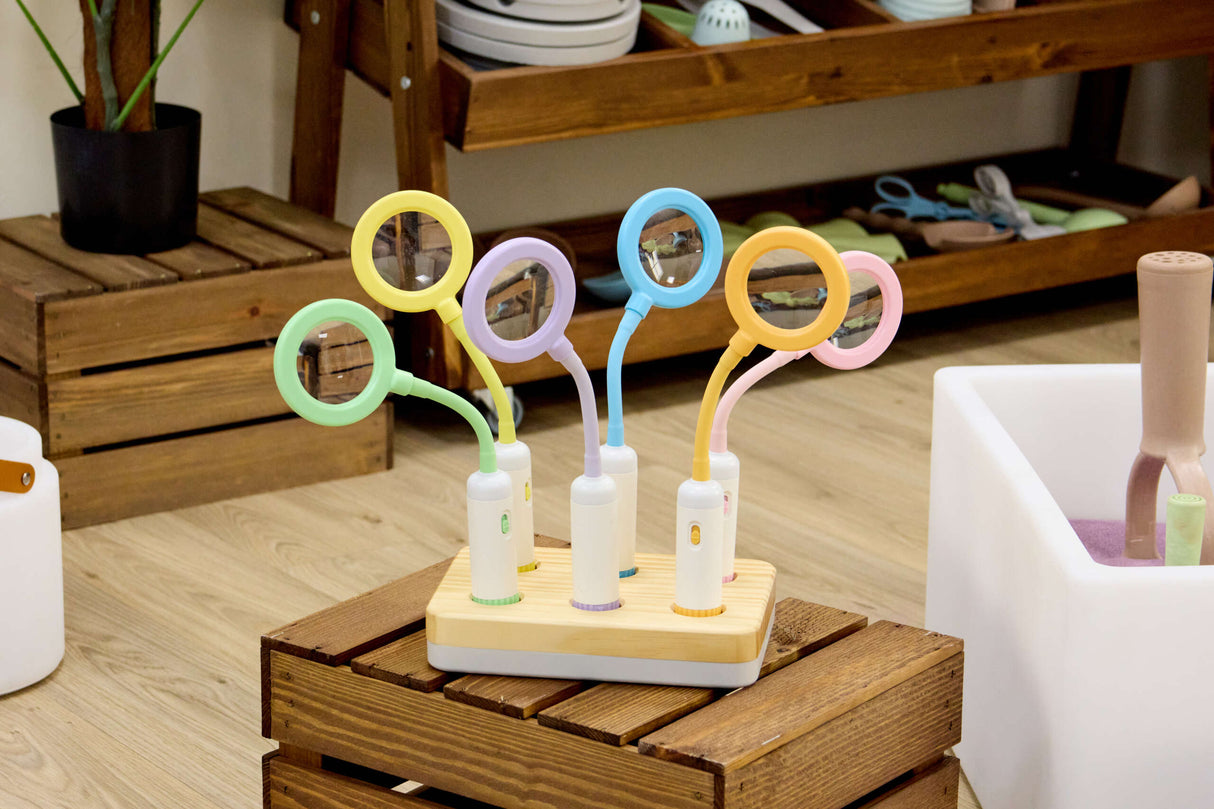 TTS Easi-Detectors metallidetektorid suurendusklaasiga, 6 tk EL47411B