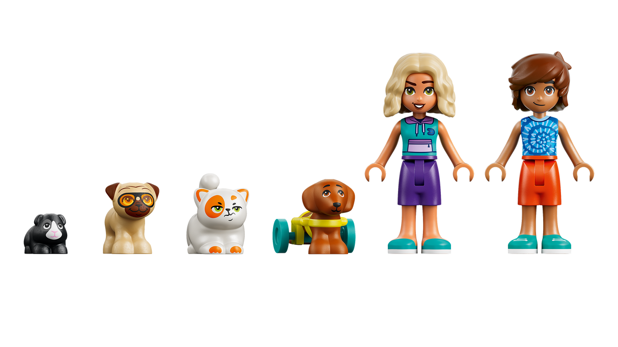 LEGO Friends Lõbus päev veepargis 42676L