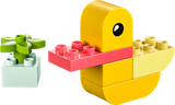 LEGO DUPLO Minu esimene part 30673L