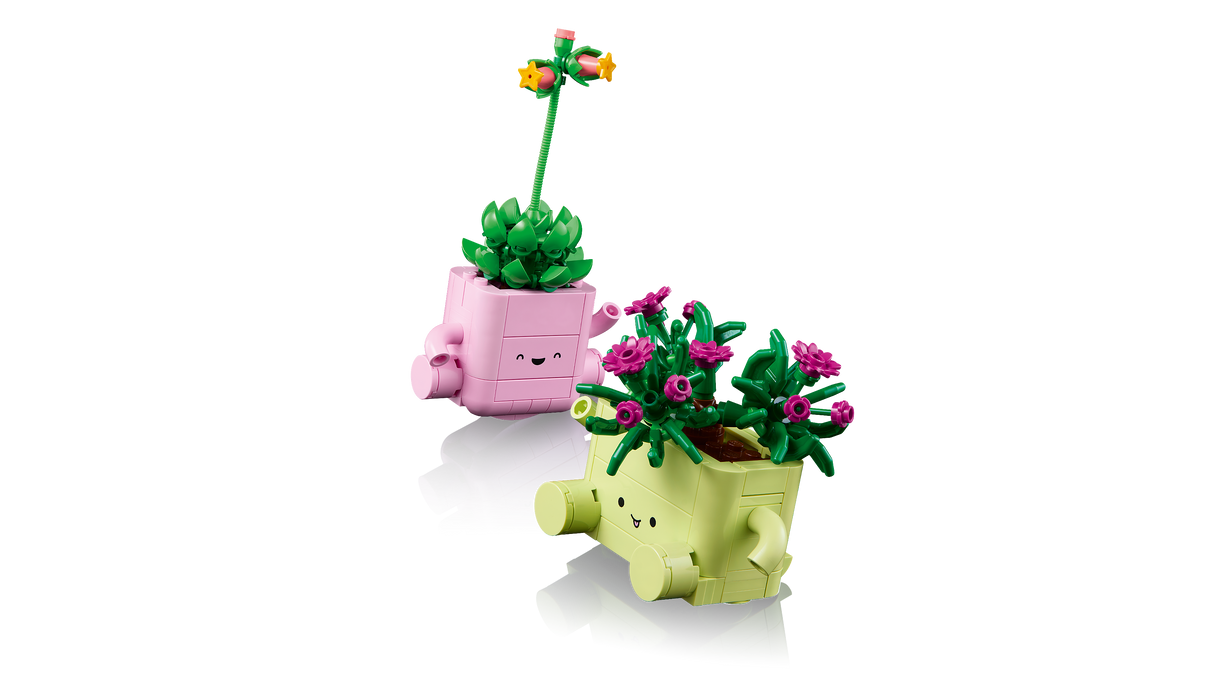 LEGO Botanicals Kiikuvad taimed 11506L