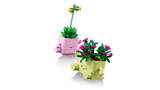 LEGO Botanicals Kiikuvad taimed 11506L