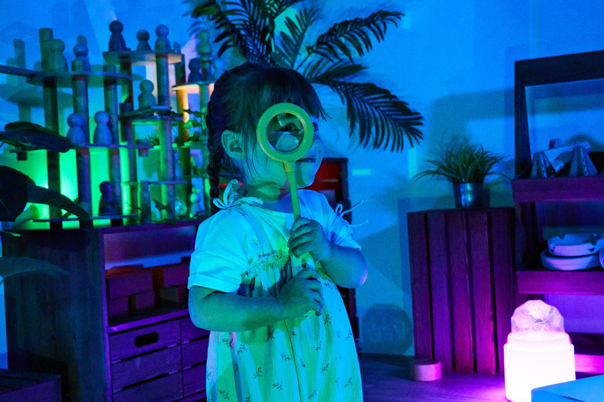 TTS Easi-Detectors metallidetektorid suurendusklaasiga, 6 tk EL47411B