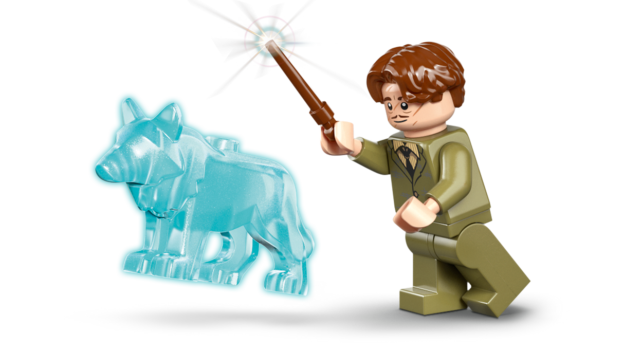 LEGO Harry Potter Sigatüüka loss: Haiglatiib 76463L