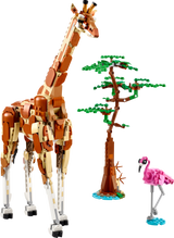 LEGO Creator Metsikud safariloomad 31150L