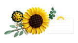 LEGO Botanicals Päevalillekimp 11502L