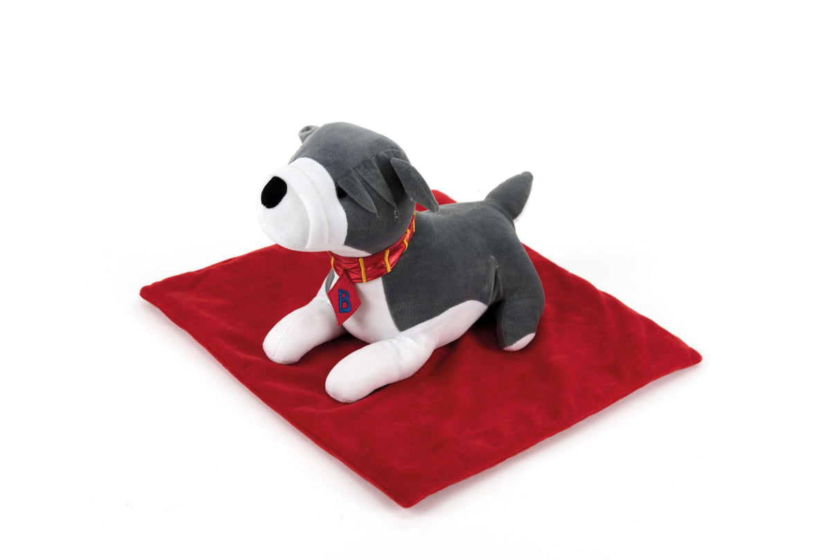 TTS raskusloom sületekiga - šnautser koer 1,36kg SD12678B