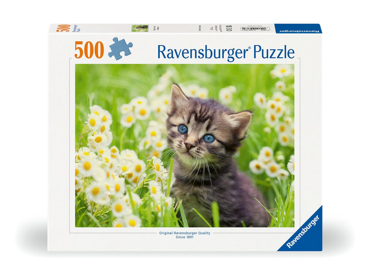 Ravensburger pusle 500 tk: kass aias 12000367V