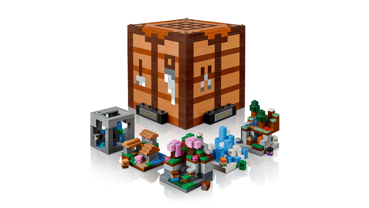 LEGO Minecraft Meisterdamisplokk 21265L