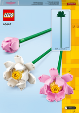 LEGO Icons Lootoseõied 40647L