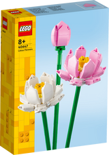 LEGO Icons Lootoseõied 40647L