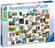 Ravensburger pusle 1500 tk Naljakad loomad 167111V